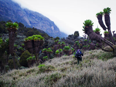 Rwenzori Bukurungu Trail