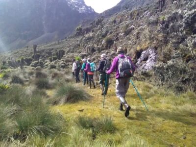 Rwenzori Kilembe Trail